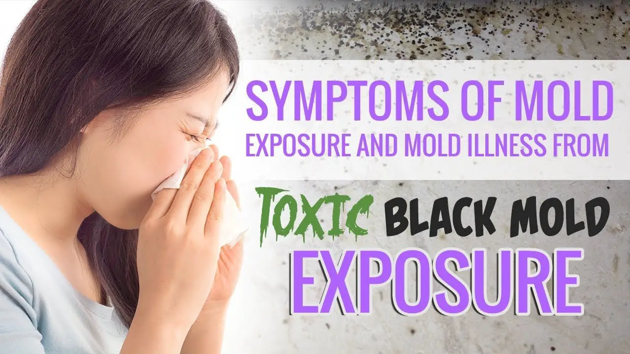 Symptoms of Mold Exposure and Mold Illness from Toxic Black Mold ...