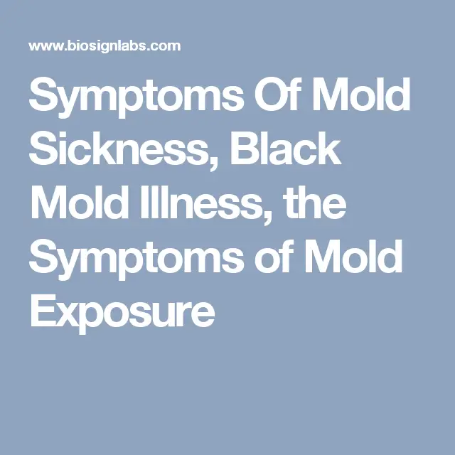 Symptoms Of Mold Sickness, Black Mold Illness, the Symptoms of Mold ...