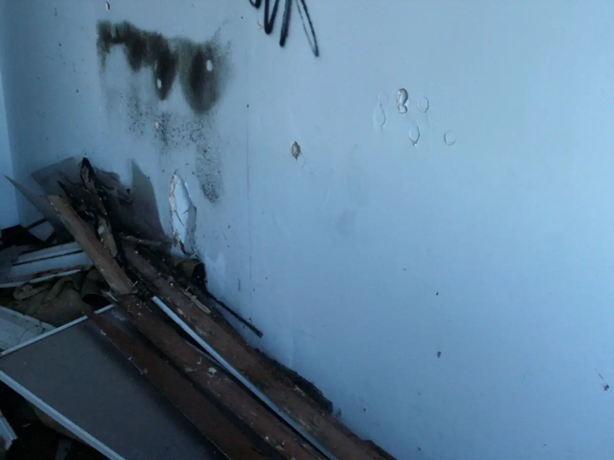 The Basics of Black Mold Removal