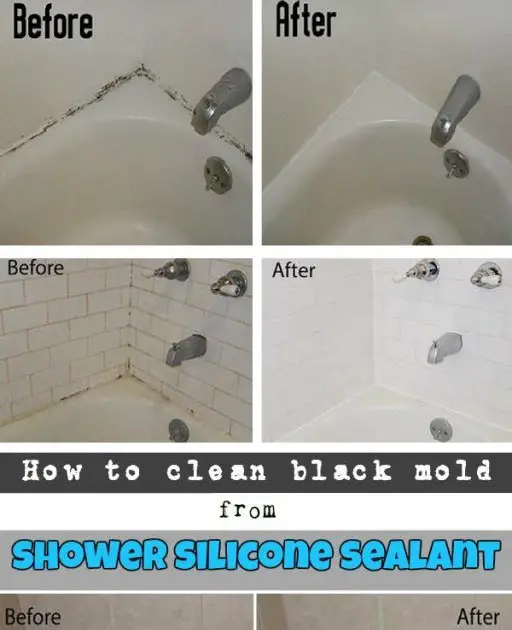 The Best 30 How To Get Rid Of Black Mold In Bathroom Shower ...