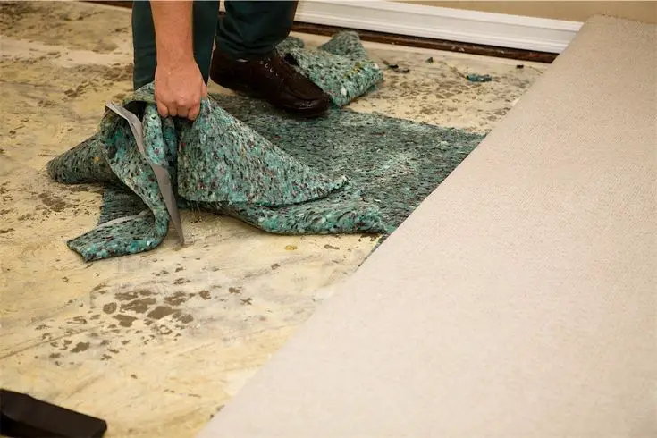 The Best How To Get Rid Of Mildew Smell In Carpet Pad And ...