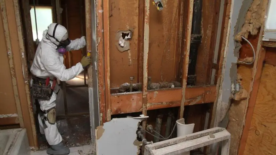 The Best Tips To Make Mold Inspection