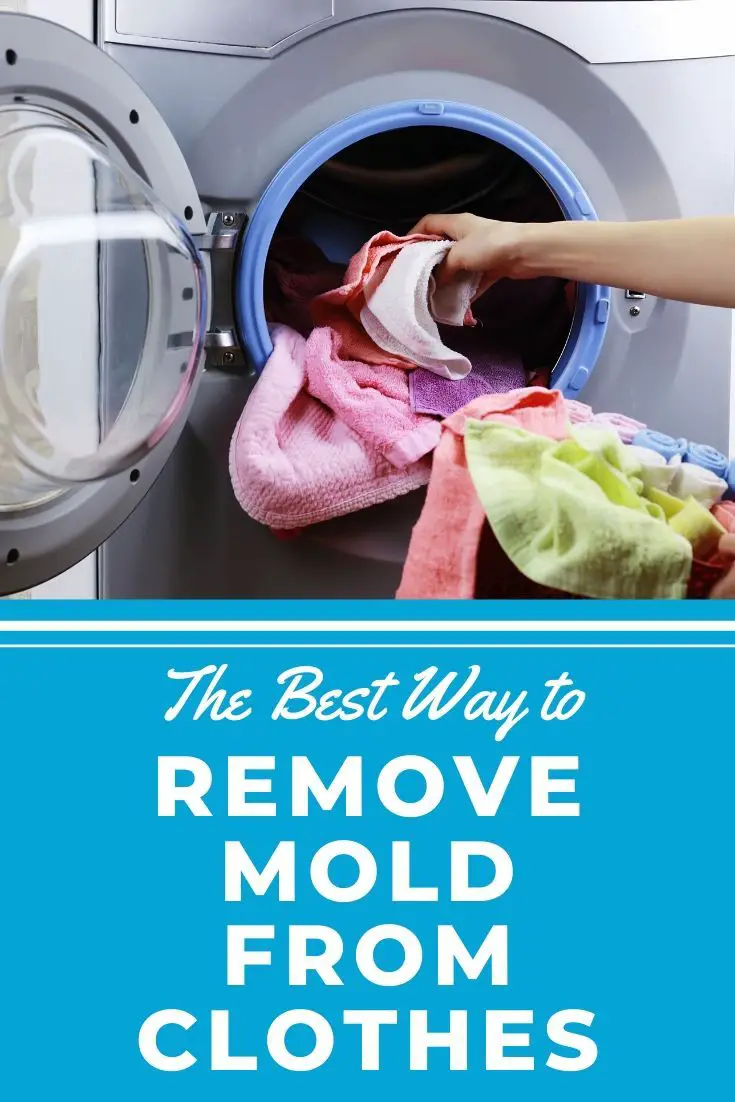 The Best Way to Remove Mold from Clothes