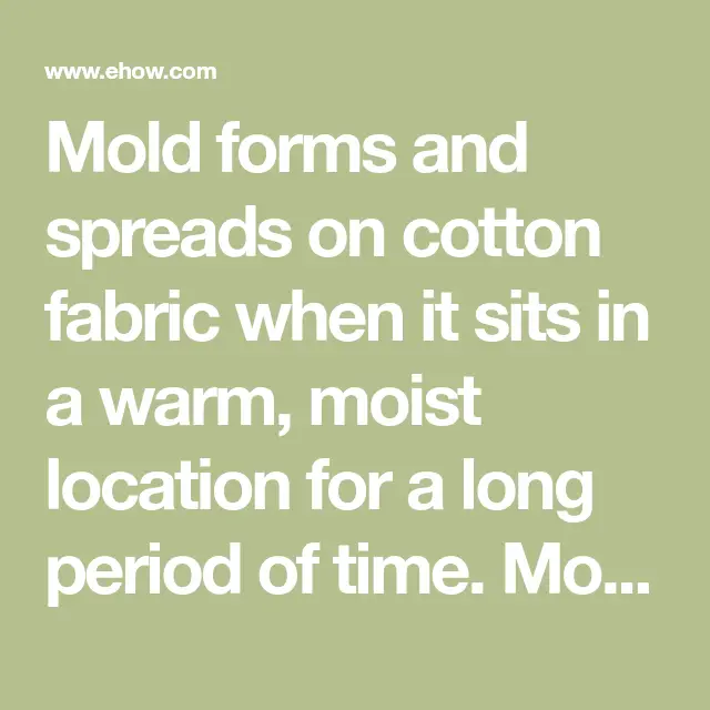 The Best Way to Remove Mold From Cotton Fabric