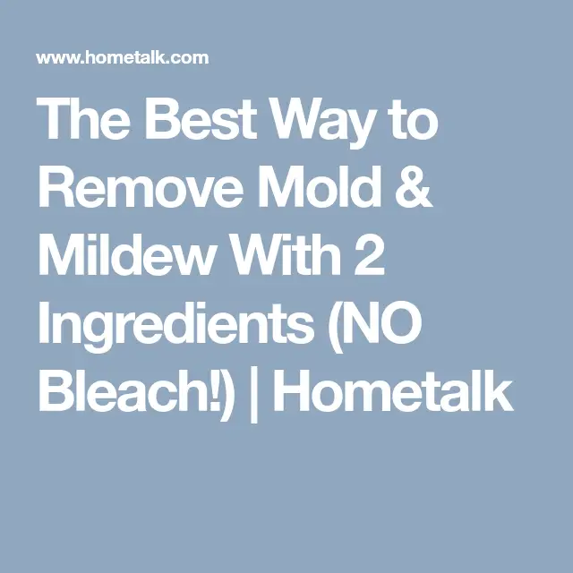 The Best Way to Remove Mold &  Mildew with 2 Ingredients (NO Bleach ...