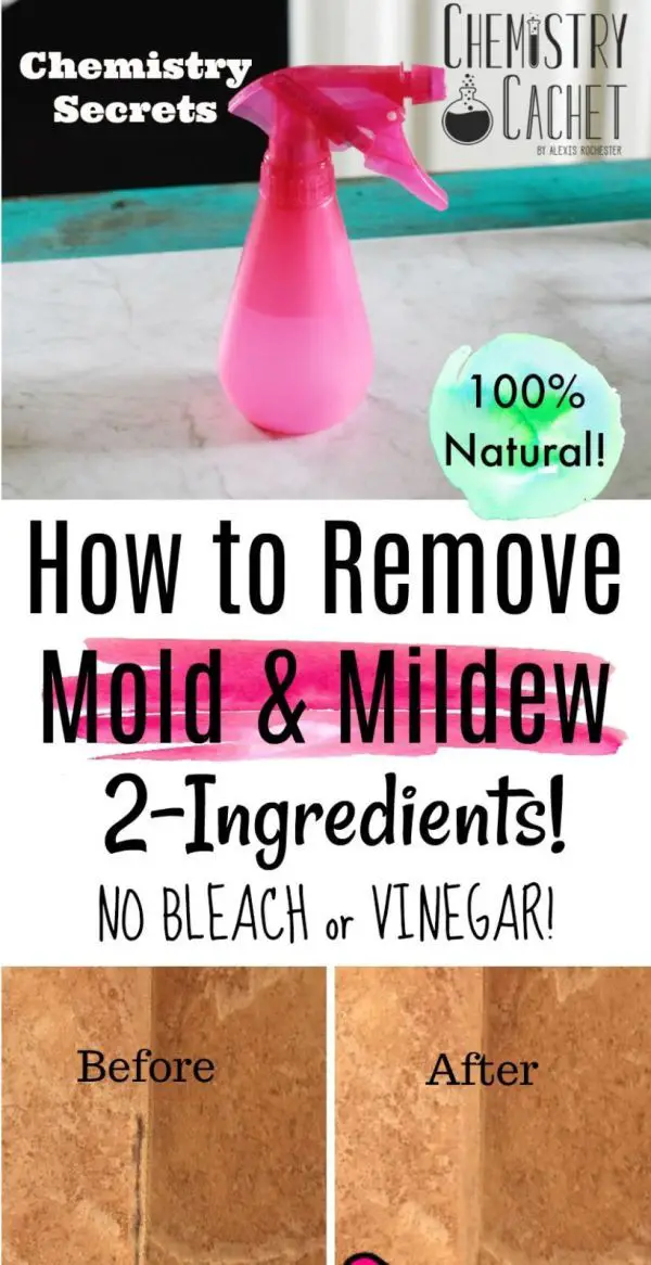 The Best Way to Remove Mold &  Mildew with 2 Ingredients ...