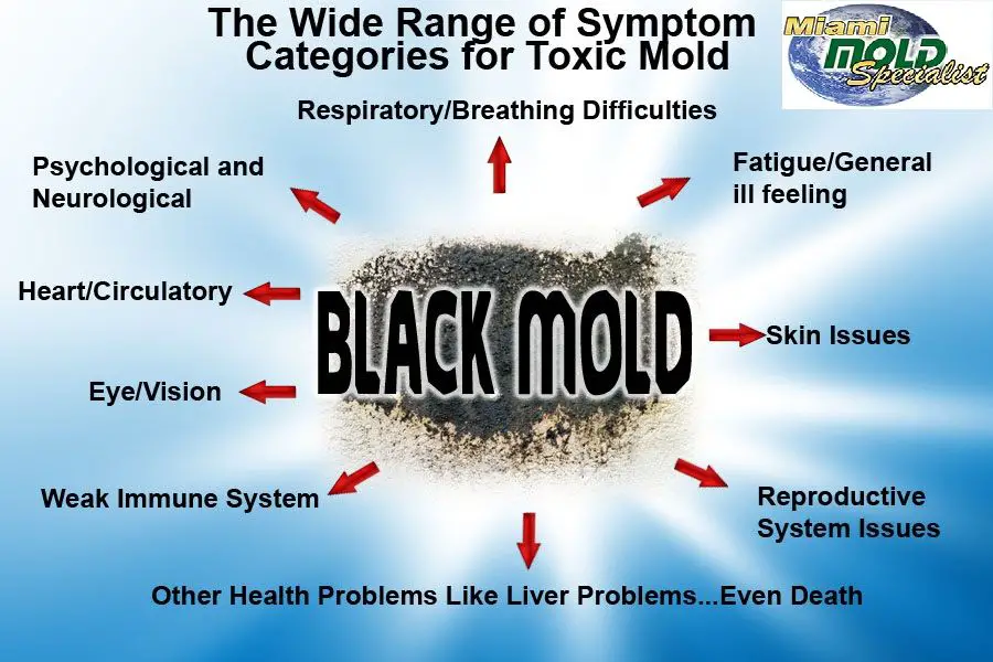 The most common #black #mold #Toxic symptoms and #health ...