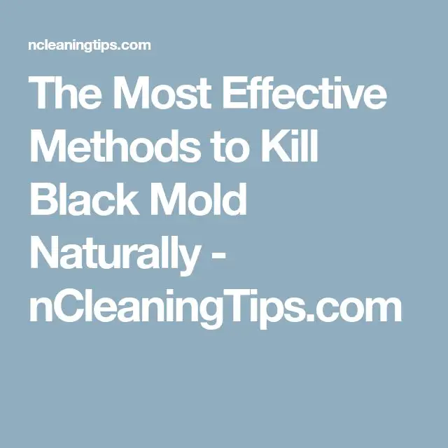 The Most Effective Methods to Kill Black Mold Naturally