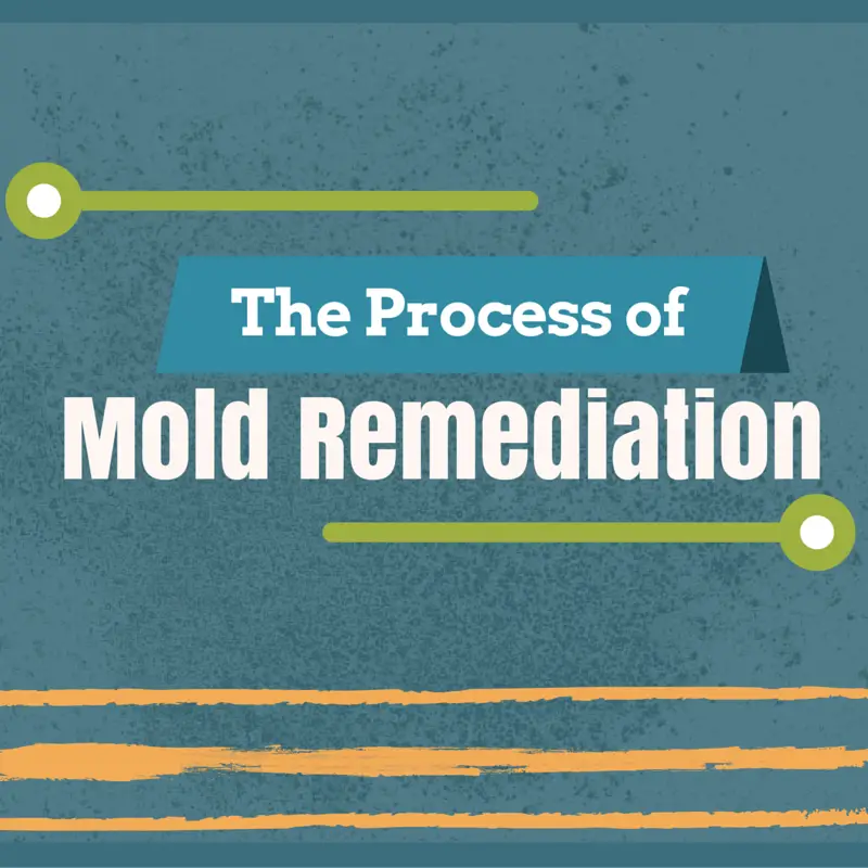 The Process of Mold Remediation