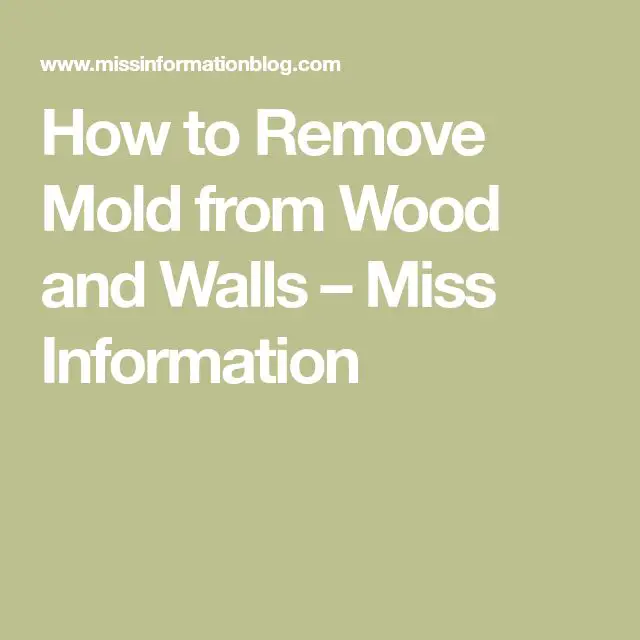 The Secret to Removing Mold and Keep it from Coming Back!
