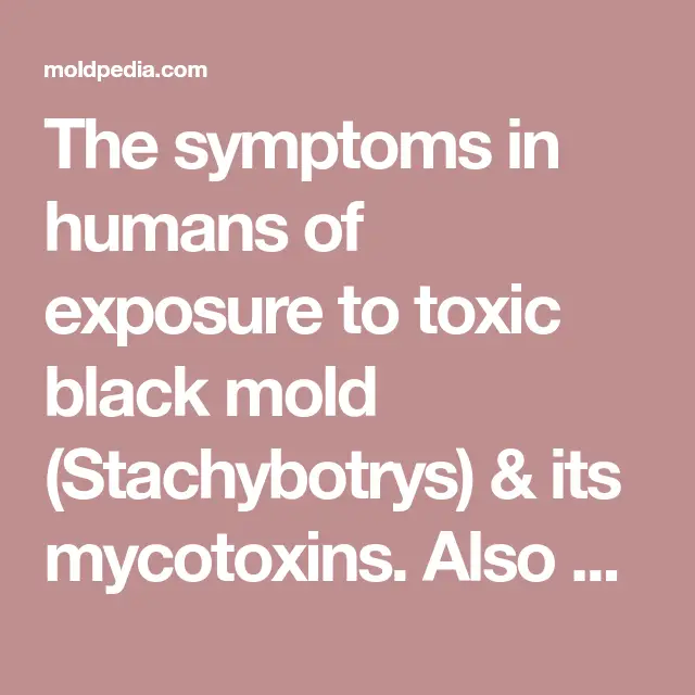 The symptoms in humans of exposure to toxic black mold (Stachybotrys ...