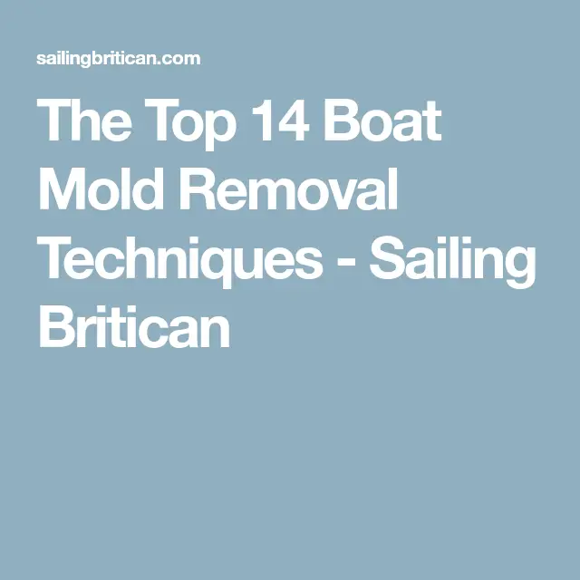 The Top 14 Boat Mold Removal Techniques