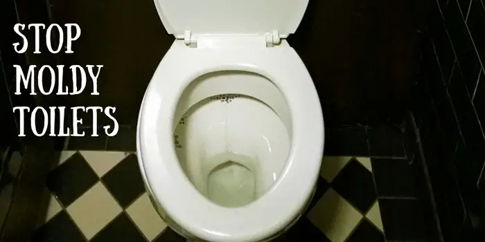This Clever Hack Will Stop Toilet Mold