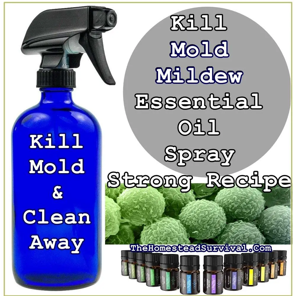 This Kill Mold Mildew Essential Oil Spray Strong Recipe will do just ...