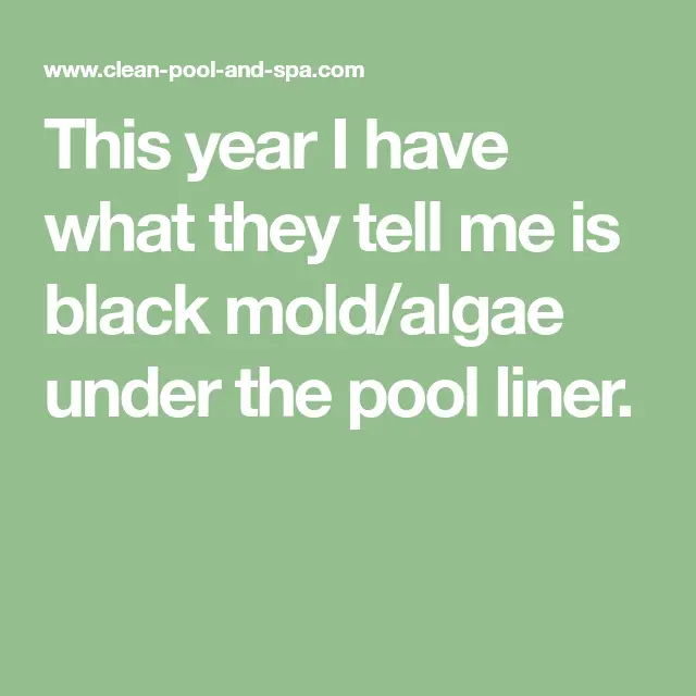 This year I have what they tell me is black mold/algae under the pool ...