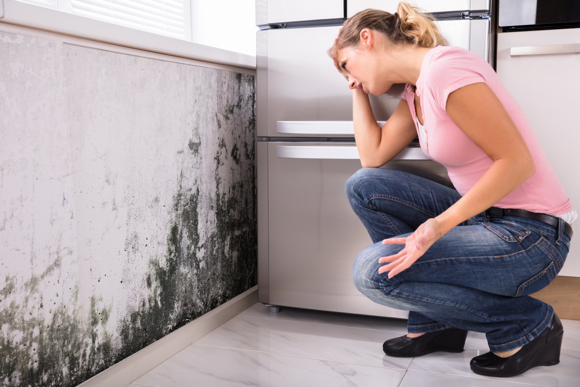 Three Reasons To Contact Mold Removal Services For Your Home
