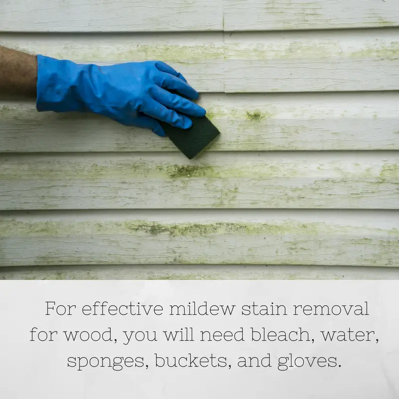 Tips and Tricks to Mildew Stain Removal Made Easy!