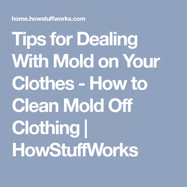 Tips for Dealing With Mold on Your Clothes