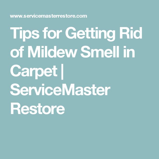 Tips for Getting Rid of Mildew Smell in Carpet