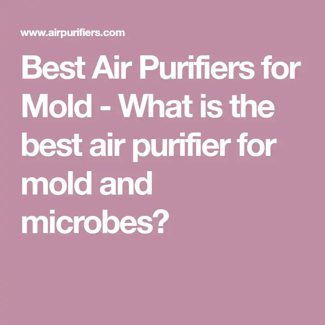 Top 5 Best Air Purifiers for Mold in Your Bedroom