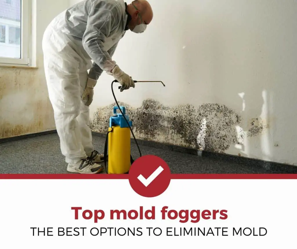 Top 5 Best Mold Foggers (2021 Review)
