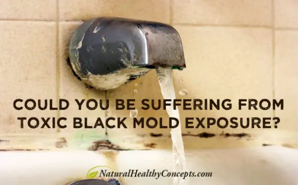 Toxic Black Mold Symptoms, Testing The HLA