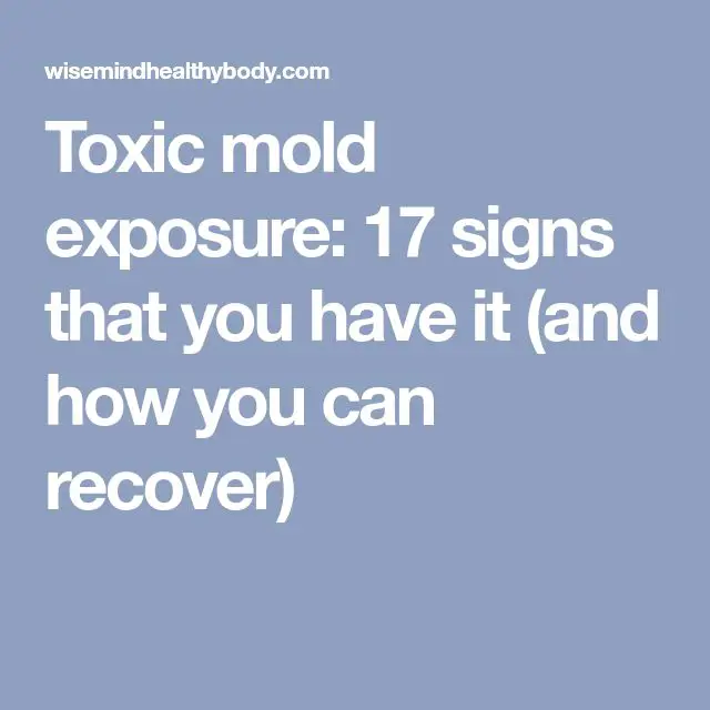 Toxic mold exposure: 17 signs that you have it (and how you can recover ...
