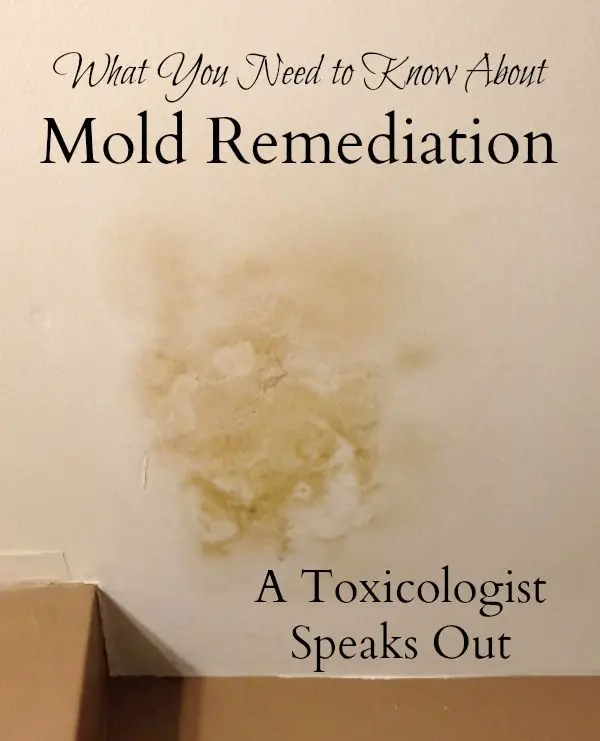 Toxic Mold Remediation