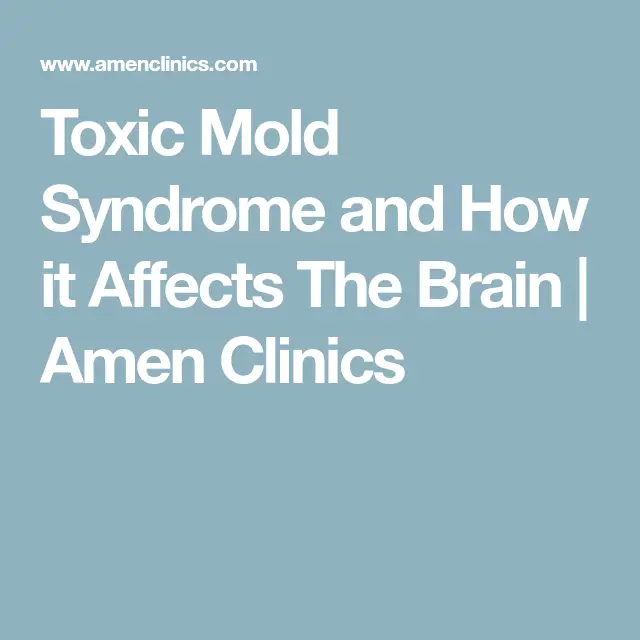 Toxic Mold Syndrome and How it Affects The Brain