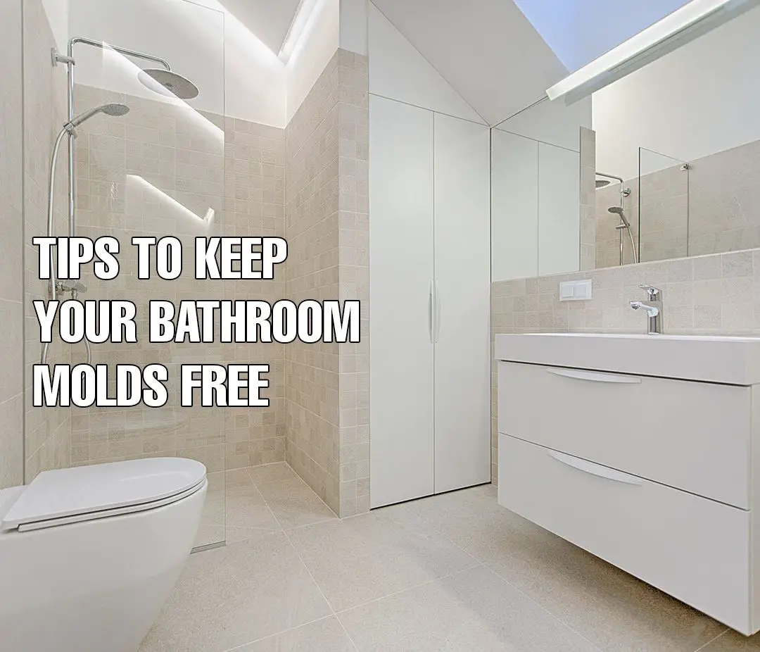Tricks to Keep Your Bathroom Mold