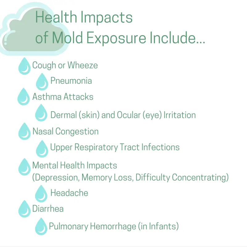 Upper Respiratory Infection From Mold