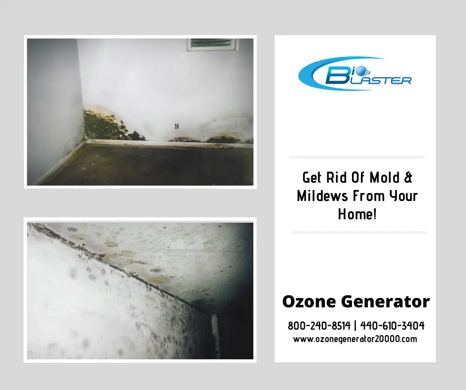 Want to remove mold? The #Bio3Blaster ozone generator will remove all ...