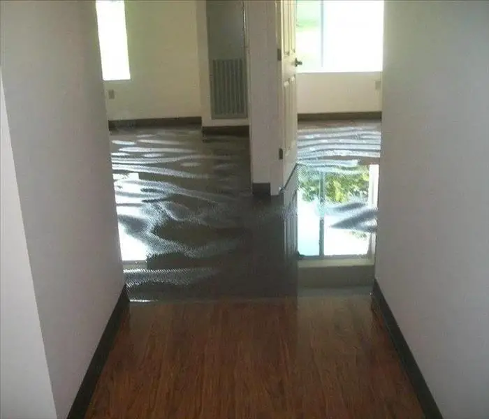 Water Damage Apartment What To Do