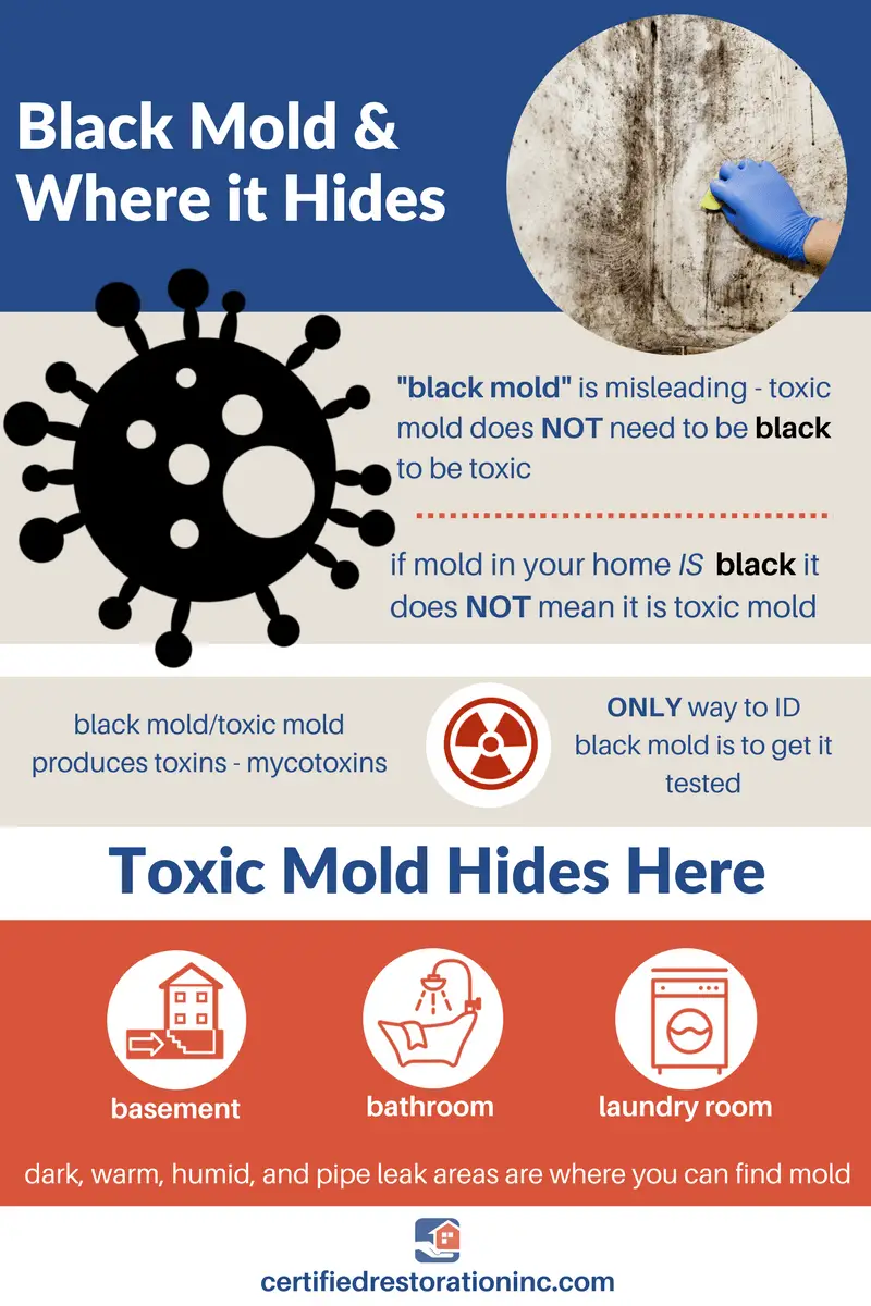 What are the symptoms of black mold exposure?