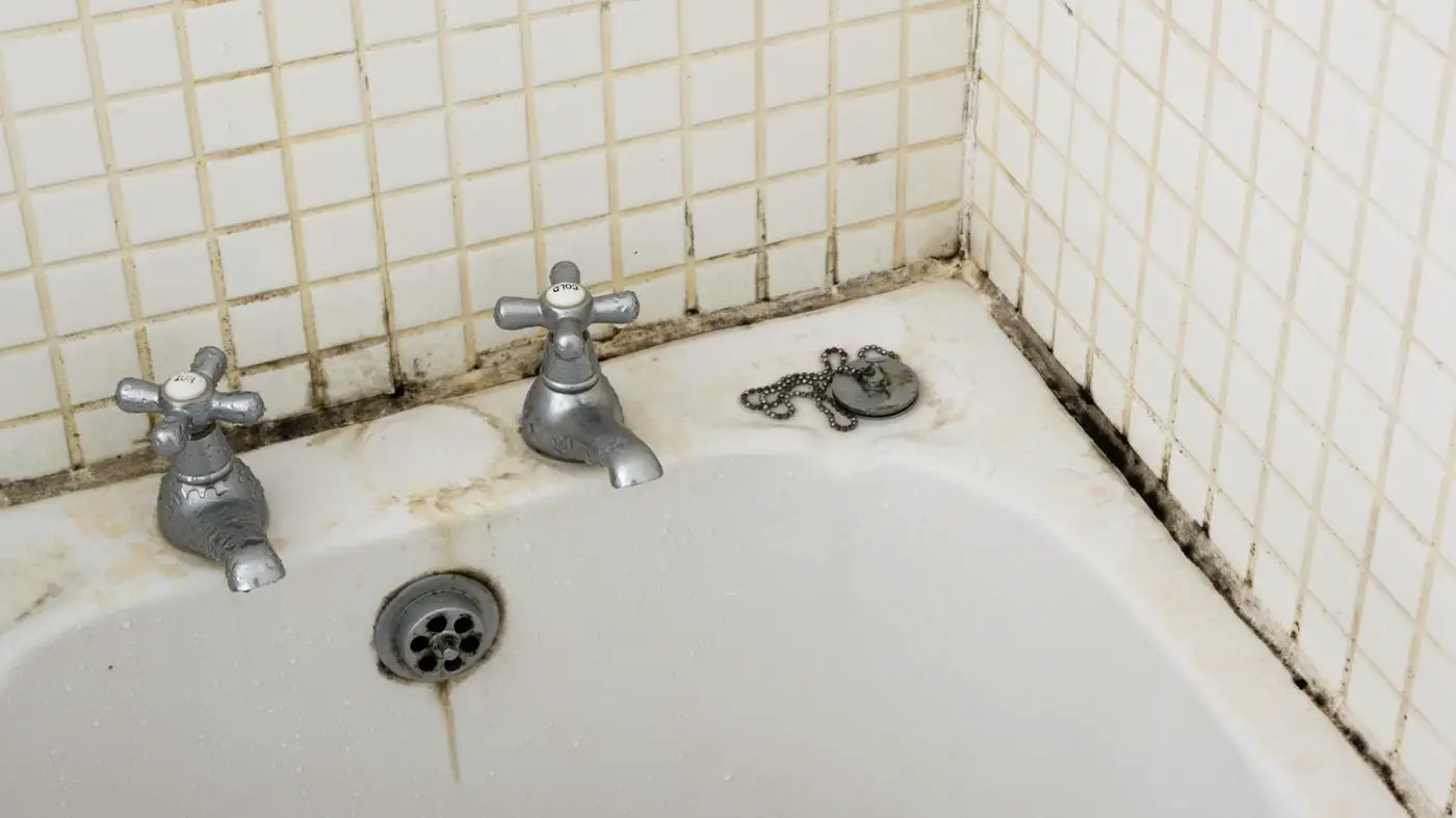 What Causes Mold in a House?