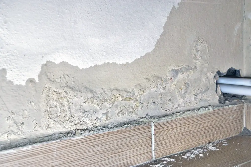 What Causes Mold on Walls?