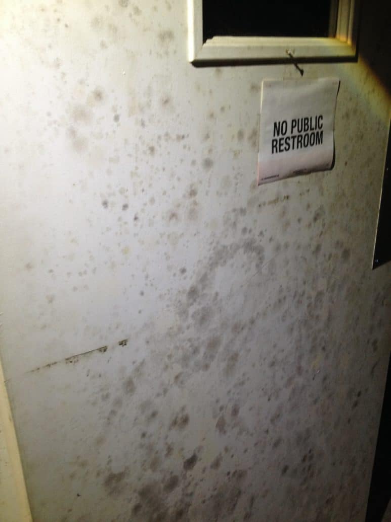 What is Mold Remediation?