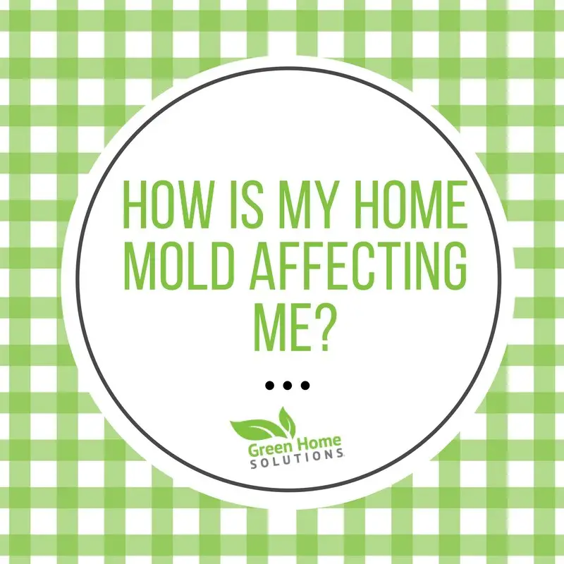 What is My Home Mold Doing to Me?