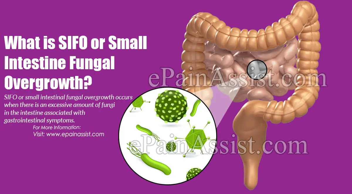 What is SIFO or Small Intestine Fungal Overgrowth