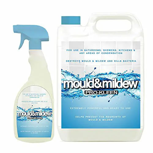 What Is The Best Black Mould Remover On The UK Market?