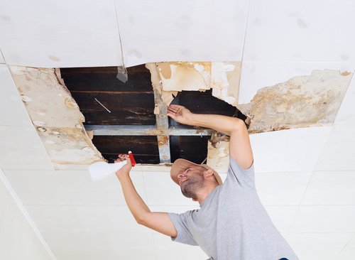 What is the Effect of Mold in Your Home