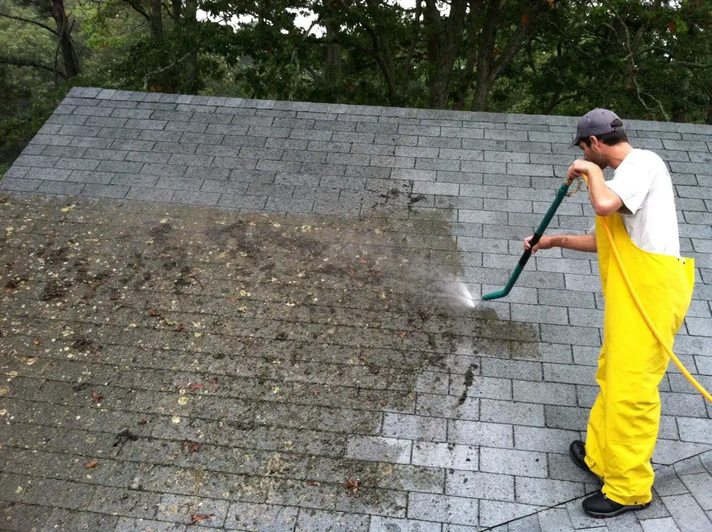 What is the Process of Removing Moss from a Roof?