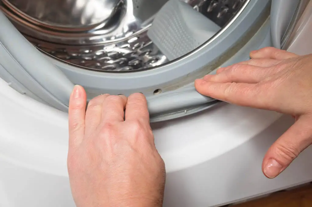 What to do with Mold on your Washer