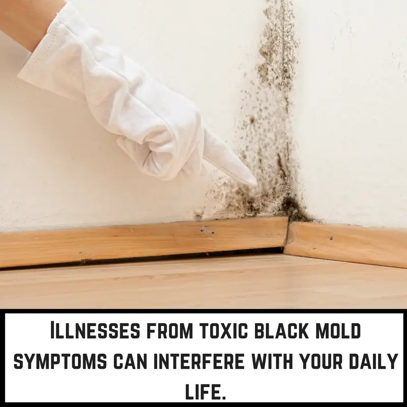 What You Need to Know About Dangerous Toxic Mold Exposure