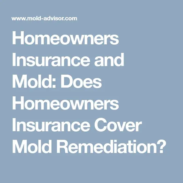 When Does Homeowners Insurance Cover Mold Removal