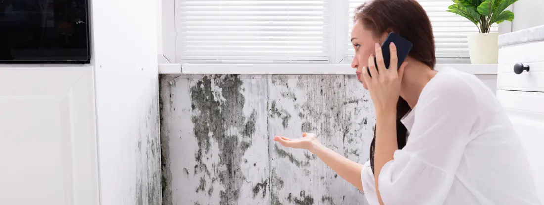 Who Do You Call for Mold Inspection?