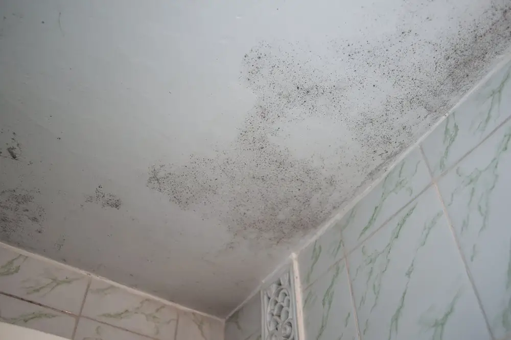 Why Am I Getting Black Mold On My Bathroom Ceiling
