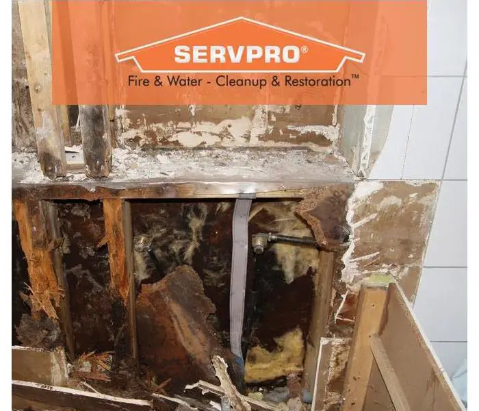 Will Insurance Pay For Mold Remediation?