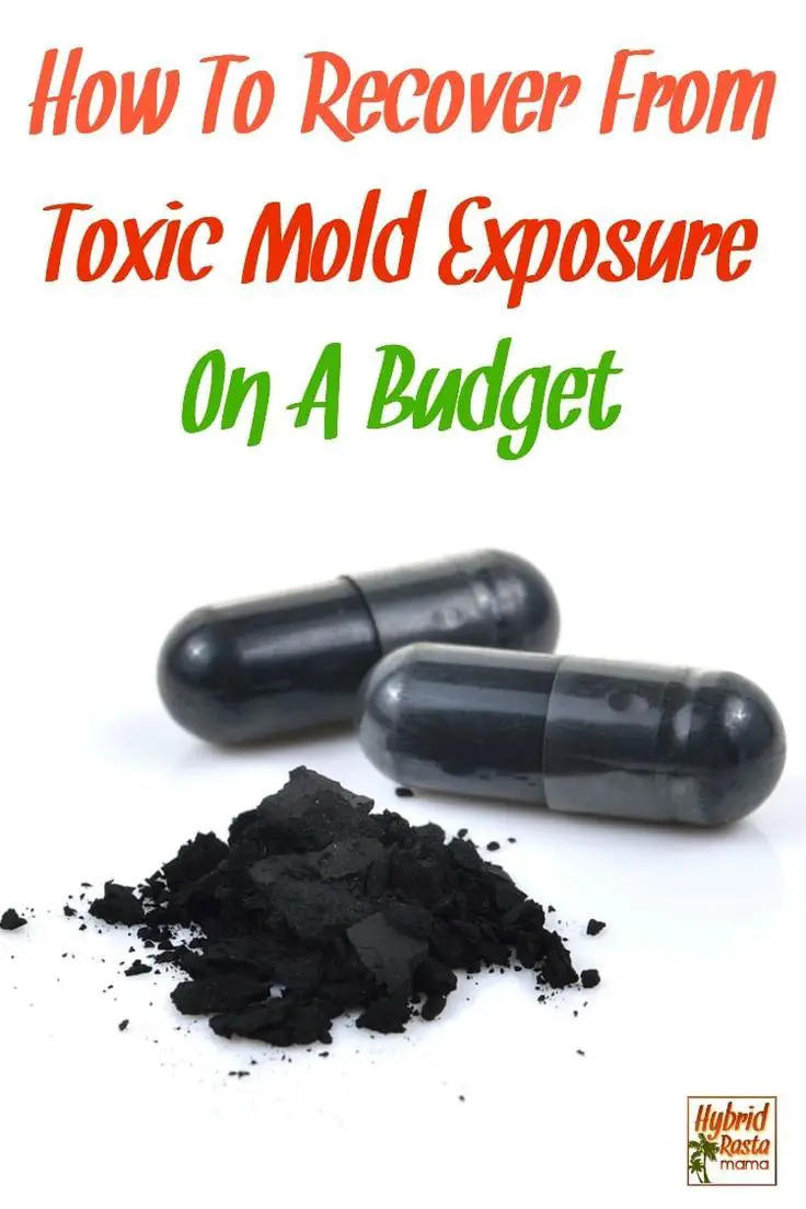 Wondering how to recover from toxic mold exposure on a ...