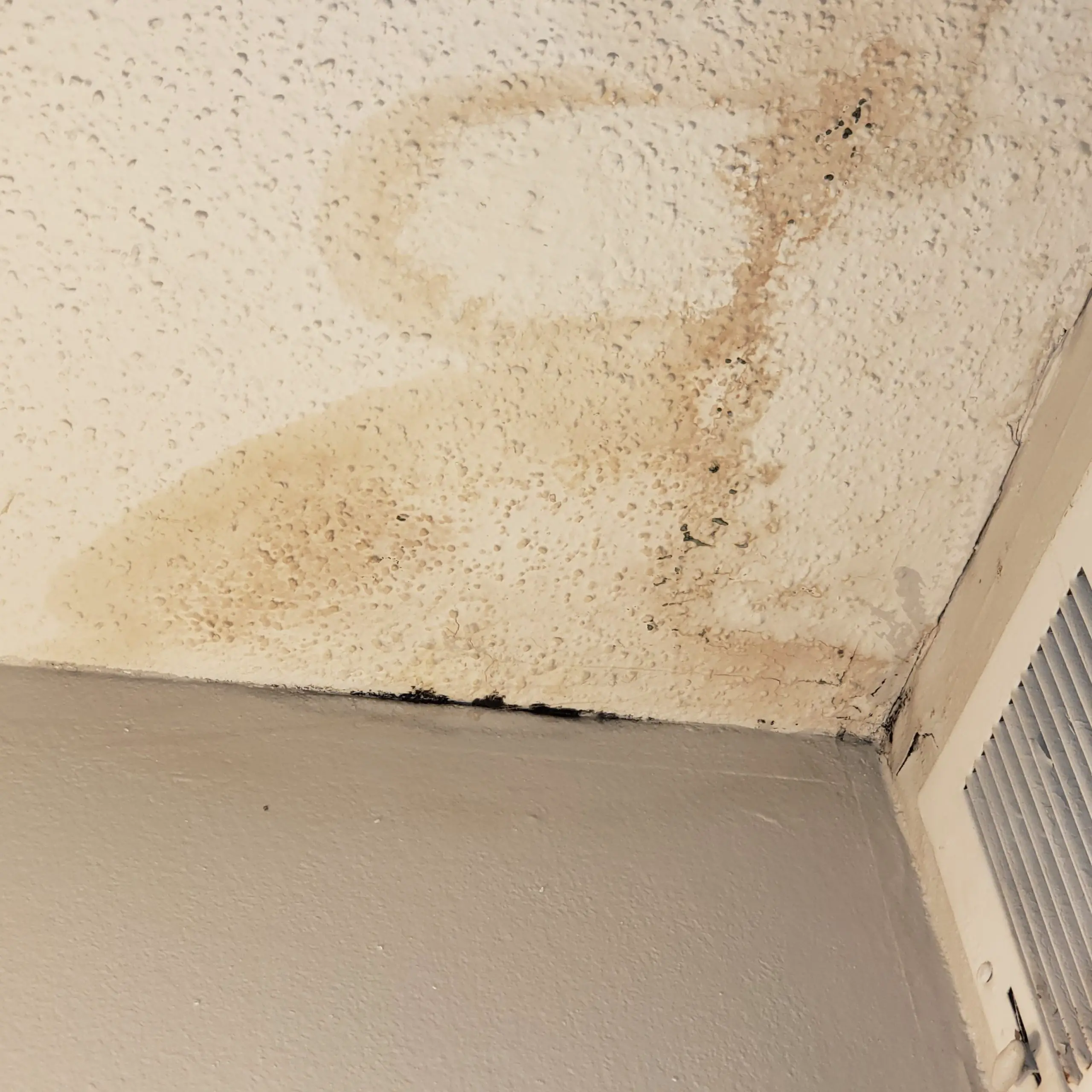 Wondering if this is mold in my apartment. : Mold
